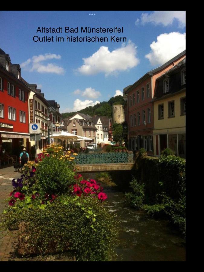 Апартаменты Wohlfuehloase Am Michelsberg Бад-Мюнстерайфель Экстерьер фото